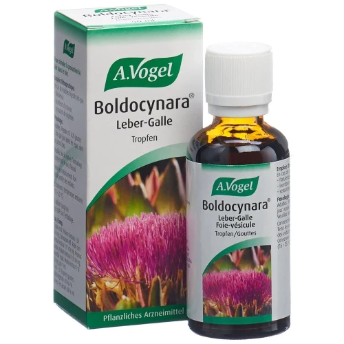VOGEL Boldocynara Leber-Galle Tropfen Fl 50 ml