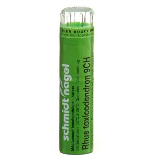 SN Rhus Toxicodendron Gran CH 9 4 g