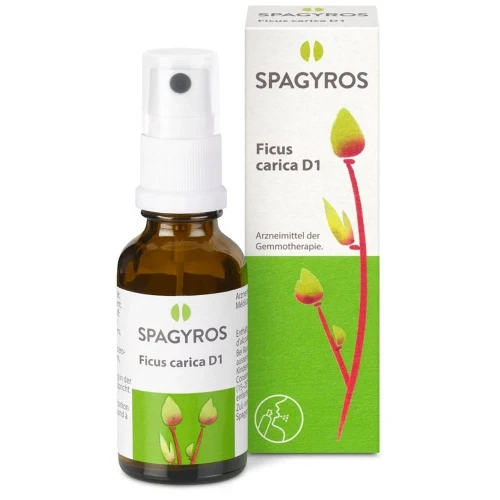 SPAGYROS GEMMO Ficus carica Glyc Maz D 1 30 ml