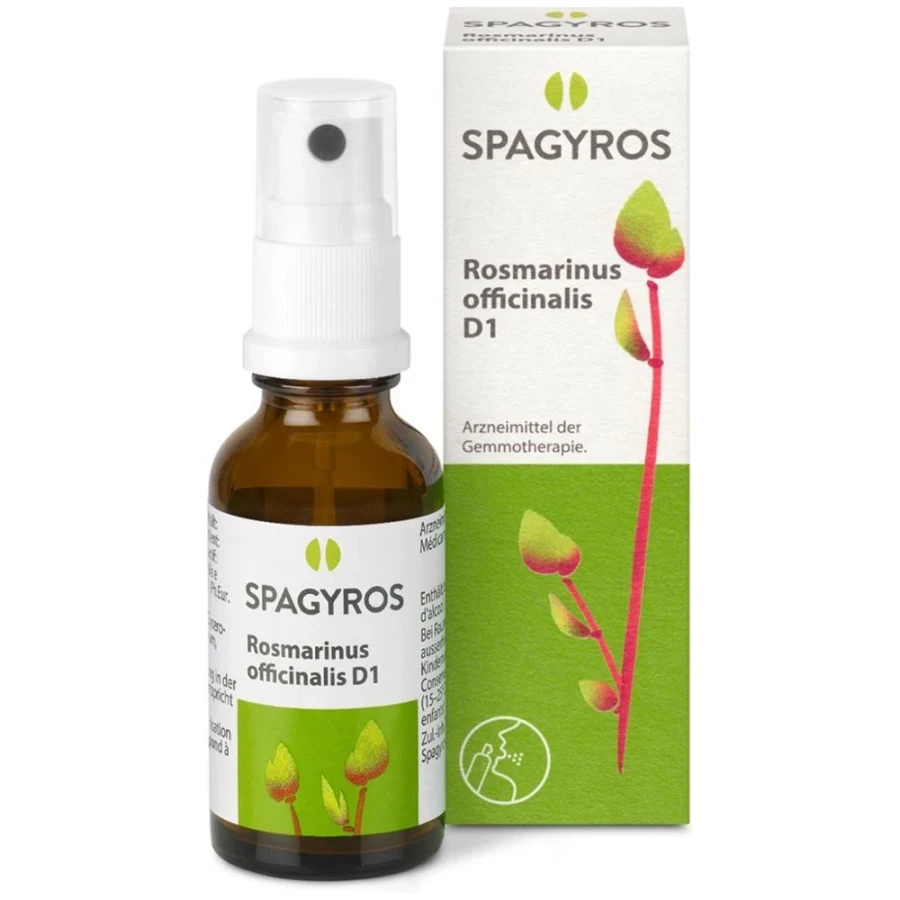 SPAGYROS GEMMO Rosmarinus off Glyc Maz D 1 30 ml SPAGYROS GEMMO Rosmarinus off Glyc Maz D 1 30 ml