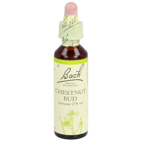 BACH-BLÜTEN Original Chestnut Bud No07 20 ml