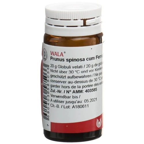 WALA Prunus spinosa ferm c Ferro Glob D 3 Fl 20 g