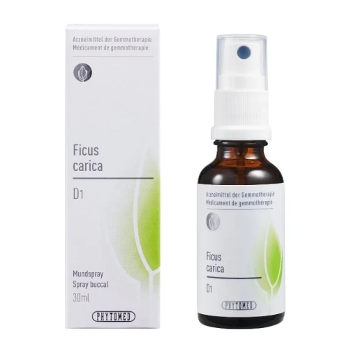 PHYTOMED GEMMO Ficus carica liq D 1 Spr 30 ml