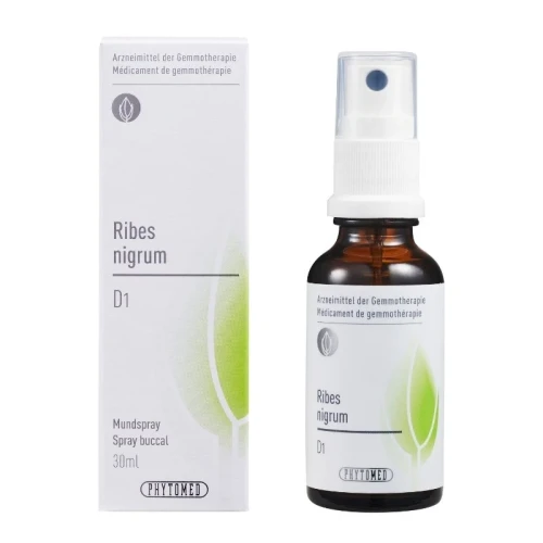 PHYTOMED GEMMO Ribes nigrum D 1 Spr 30 ml