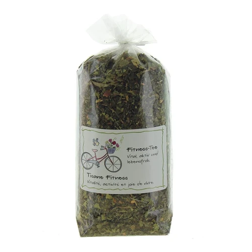 HERBORISTERIA Tee Fitness im Sack 75 g
