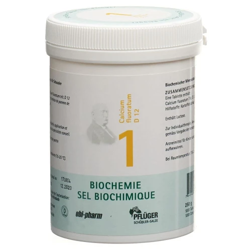 PFLÜGER SCHÜSSLER Nr1 Calc fluo Tabl D 12 250 g