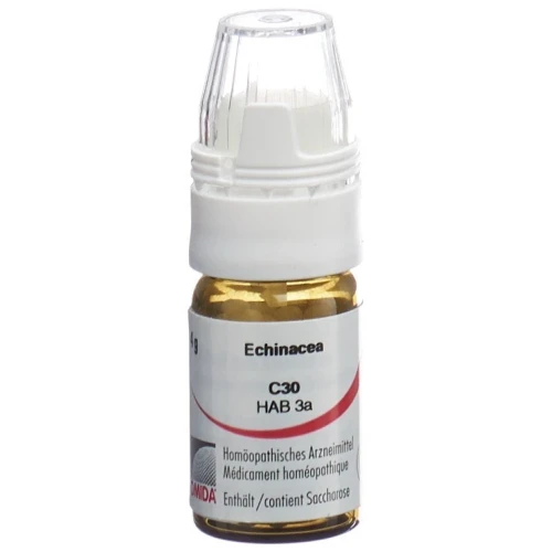 OMIDA Echinacea Glob C 30 m Dosierhilfe 4 g