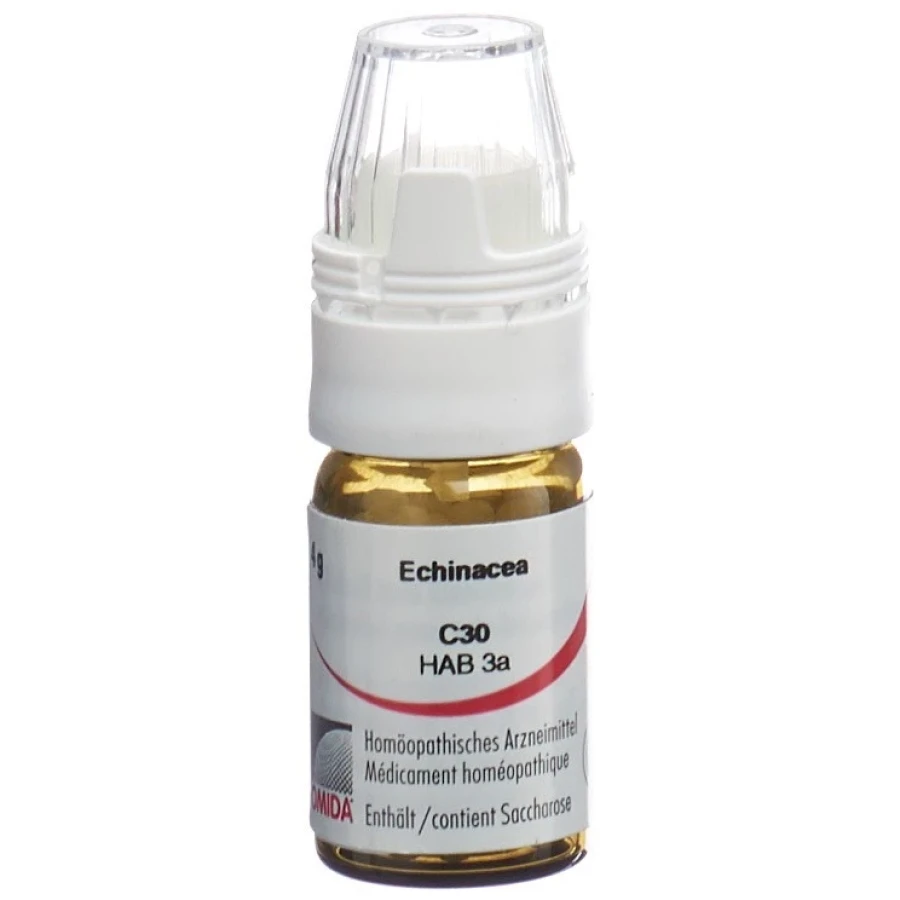 OMIDA Echinacea Glob C 30 m Dosierhilfe 4 g OMIDA Echinacea Glob C 30 m Dosierhilfe 4 g