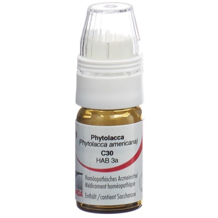 OMIDA Phytolacca Glob C 30 m Dosierhilfe 4 g OMIDA Phytolacca Glob C 30 m Dosierhilfe 4 g