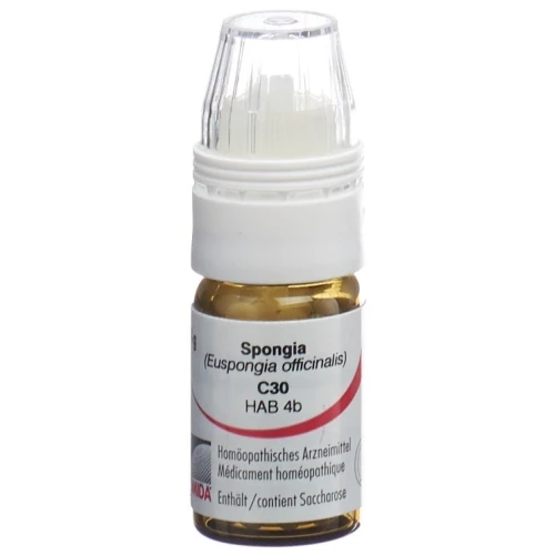 OMIDA Spongia Glob C 30 m Dosierhilfe 4 g