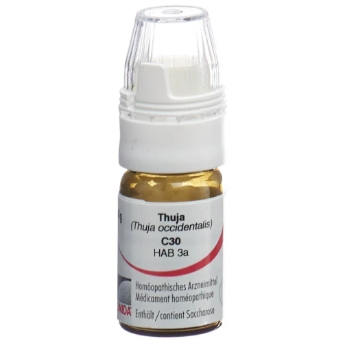 OMIDA Thuja Glob C 30 m Dosierhilfe 4 g