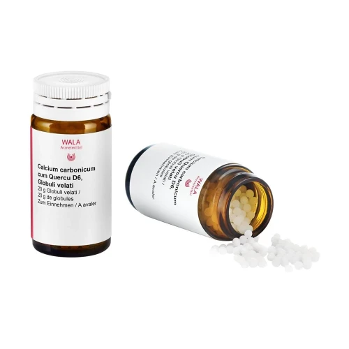WALA Calcium carbonicum cum Quercu Glob D 6 20 g