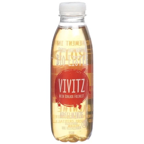 VIVITZ Bio Eistee Apfelminze 0.5 lt