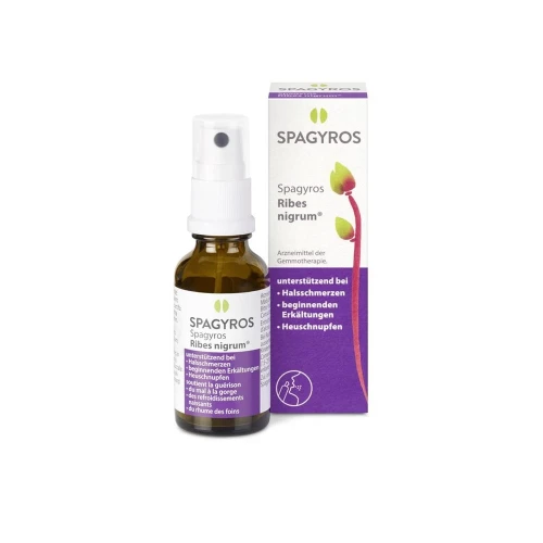 SPAGYROS Ribes nigrum Mundspray D 1 30 ml