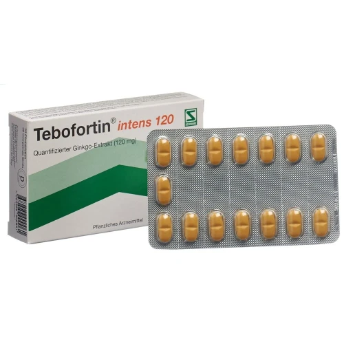 TEBOFORTIN intens 120 Filmtabl 120 mg 30 Stk