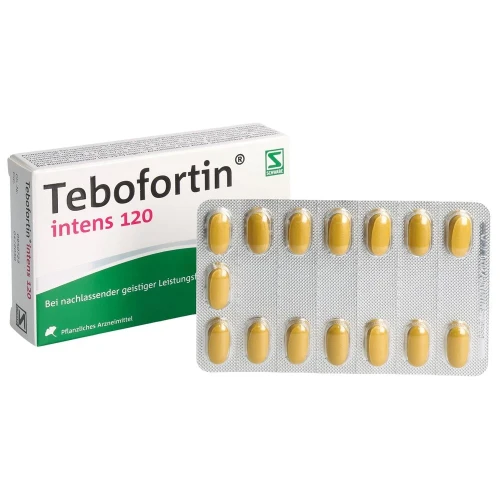 TEBOFORTIN intens 120 Filmtabl 120 mg 30 Stk