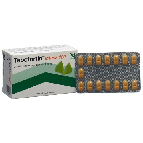 TEBOFORTIN intens 120 Filmtabl 120 mg 90 Stk