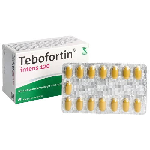 TEBOFORTIN intens 120 Filmtabl 120 mg 90 Stk