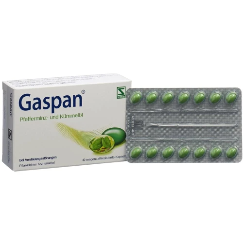 GASPAN Weichkaps magensaftresistent 42 Stk