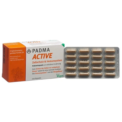 PADMA ACTIVE Kaps 100 Stk